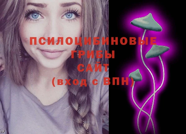 дурь Заводоуковск