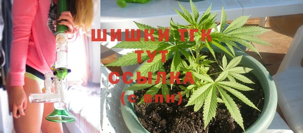 эйфоретик Заволжье