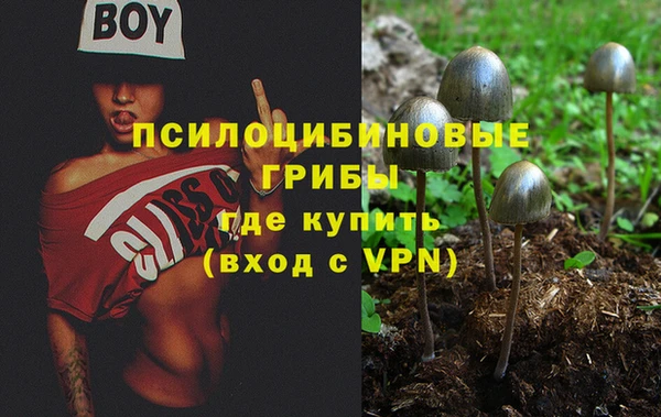 не бодяженный Заволжск