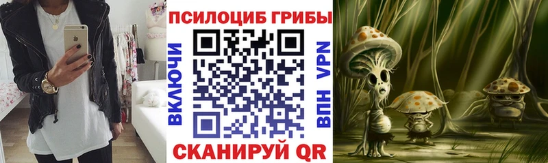 ОМГ ОМГ зеркало  Серпухов  Псилоцибиновые грибы GOLDEN TEACHER 